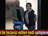 Gebze'de tecavüz edilen kedi sahiplendirildi