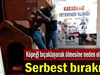 Köpeği bıcaklayarak öldüren şahıs serbest bırakıldı!