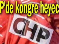 CHP'de kongre heyecanı