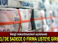 Rekortmenler arasına Kocaeli'den sadece o firma girebildi!