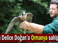 Yaralı Delice Doğan’a Ormanya sahip çıktı