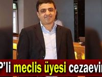 CHP’li meclis üyesi cezaevinde