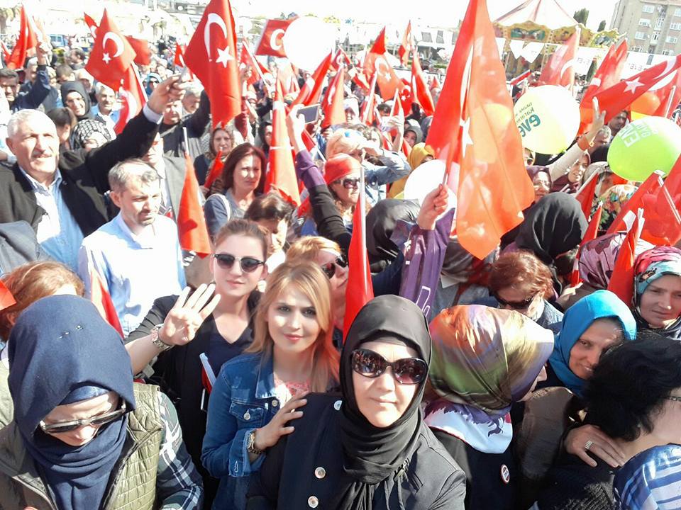 12-010.jpg 12-010.jpg