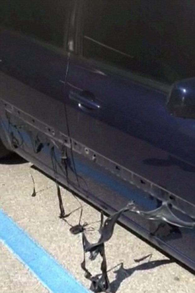 2_2598.jpg 2_2598.jpg