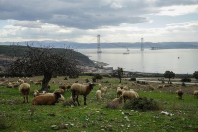 3.manzara.yusuf-yilmaz-otlak.jpg 3.manzara.yusuf-yilmaz-otlak.jpg