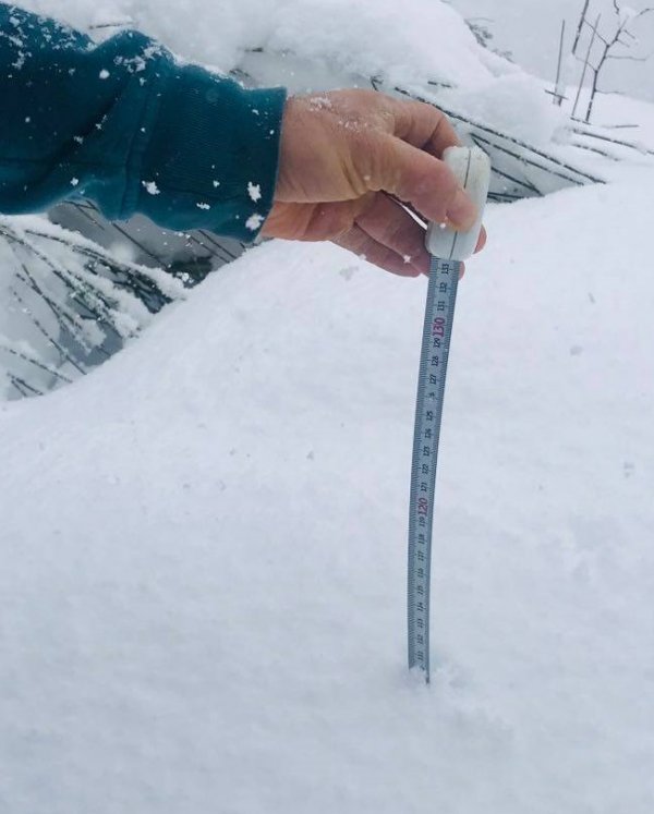 301d1c49-de48-4f60-a937-027de6b4c576.jpg 301d1c49-de48-4f60-a937-027de6b4c576.jpg