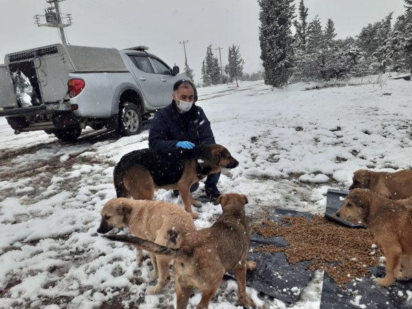 7eb6c3c2-50e5-44a9-9099-bb47fa25257f.jpg 7eb6c3c2-50e5-44a9-9099-bb47fa25257f.jpg