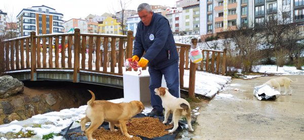 9f679f77-9c9a-4f00-8a4b-0f32928d6a01.jpg 9f679f77-9c9a-4f00-8a4b-0f32928d6a01.jpg