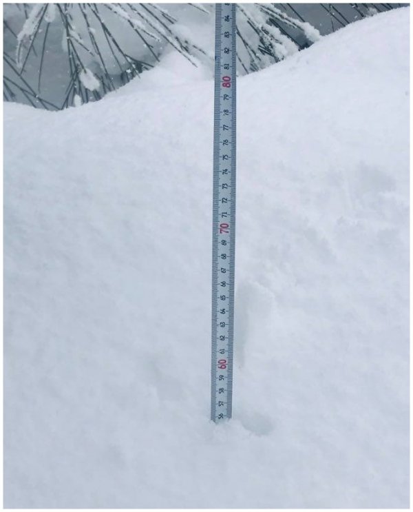 c25d38f6-97eb-435d-9dc9-9612fd304482.jpg c25d38f6-97eb-435d-9dc9-9612fd304482.jpg