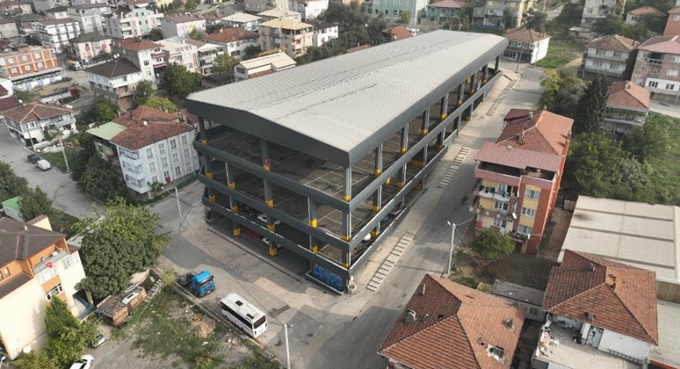 cats-008.jpg cats-008.jpg