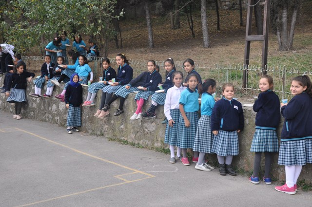 dsc_0084-001.jpg dsc_0084-001.jpg