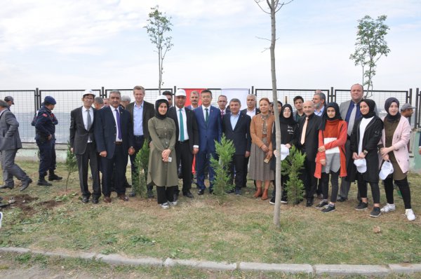 dsc_0599.jpg dsc_0599.jpg