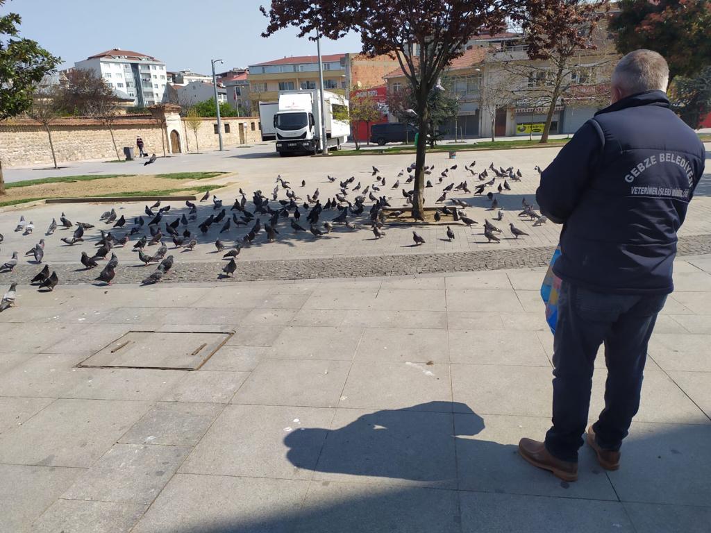 img_2871.jpg img_2871.jpg