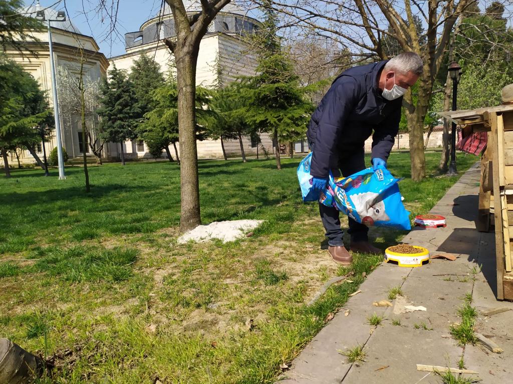 img_2874.jpg img_2874.jpg