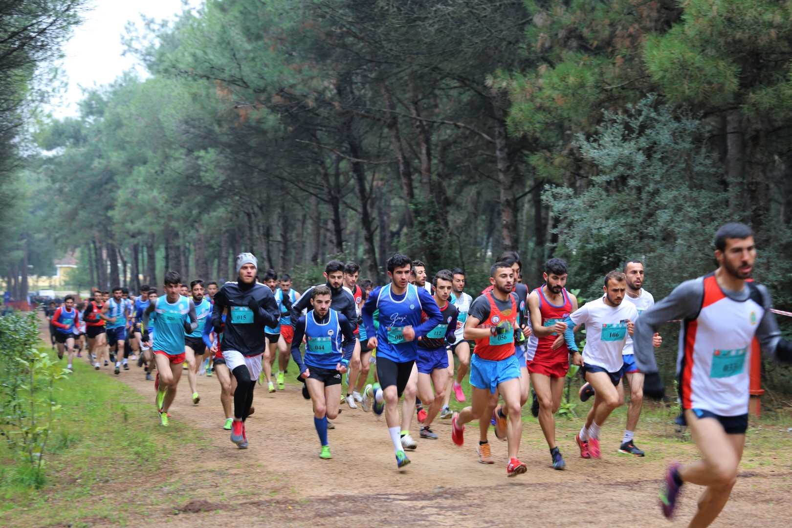 img_8638.jpg img_8638.jpg