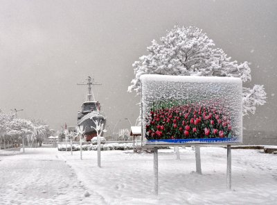 man.1.buyuksehir.fahri-yilmaz-kavakli.jpg man.1.buyuksehir.fahri-yilmaz-kavakli.jpg