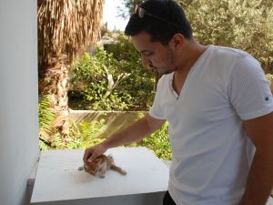 Yaralı kediye yardım etmek = 165 lira