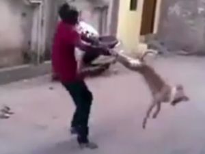 Hayvana hayvanca muamele